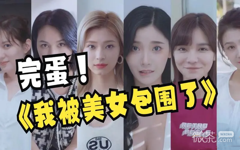 完蛋我被美女包围了郑梓妍好感度提升攻略分享