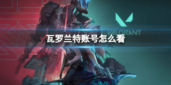 《瓦罗兰特》账号查询方法
