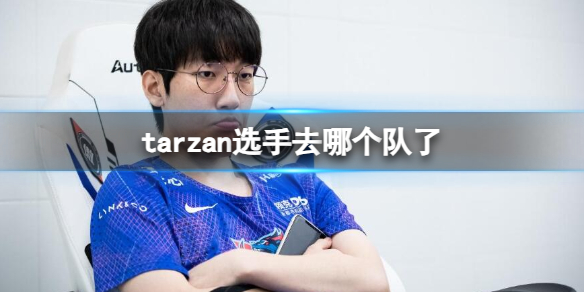 《英雄联盟》tarzan选手所在队伍介绍