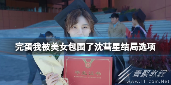 完蛋我被美女包围了沈彗星结局选项详情