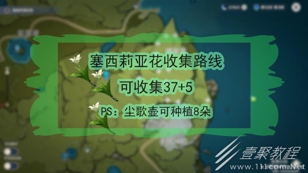原神4.1版本温迪突破材料怎么收集