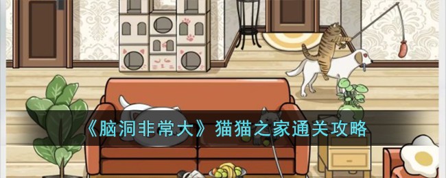 《脑洞非常大》猫猫之家通关攻略