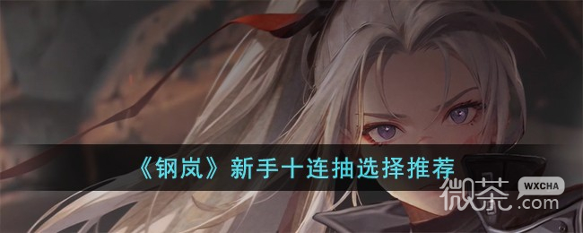 钢岚新手十连抽选择推荐攻略