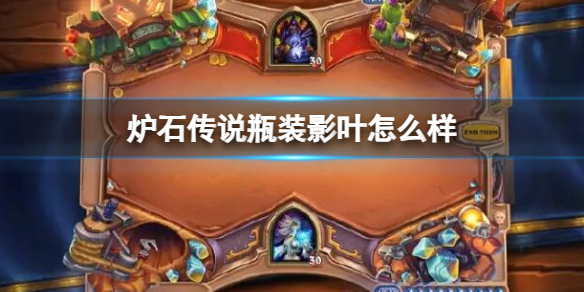 《炉石传说》决战荒芜之地瓶装影叶卡牌图鉴