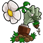 植物大战僵尸现实版