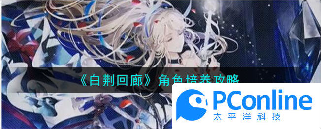 白荆回廊角色培养推荐一览白荆回廊角色怎么培养