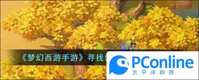 梦幻西游手游寻找爱鸭鸭活动攻略大全梦幻西游手游寻找爱鸭鸭活动攻略
