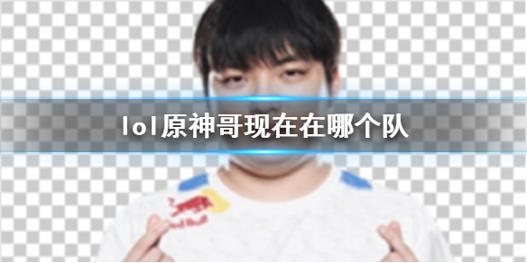 《lol》原神哥目前所在战队介绍