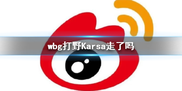 《英雄联盟》s13全球总决赛wbg打野Karsa转会情况说明