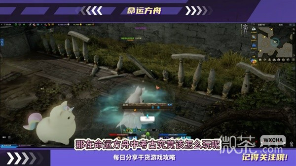 命运方舟考古工具及猎犬选择指南分享