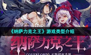 《纳萨力克之王》游戏类型介绍