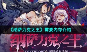 《纳萨力克之王》需要内存介绍