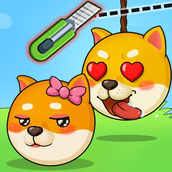 菜狗闯关安装包