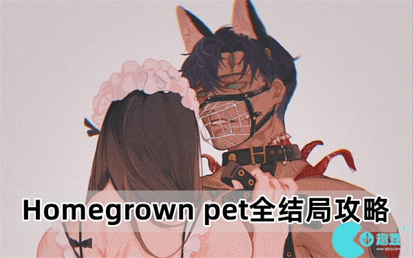 Homegrown pet全结局有哪些