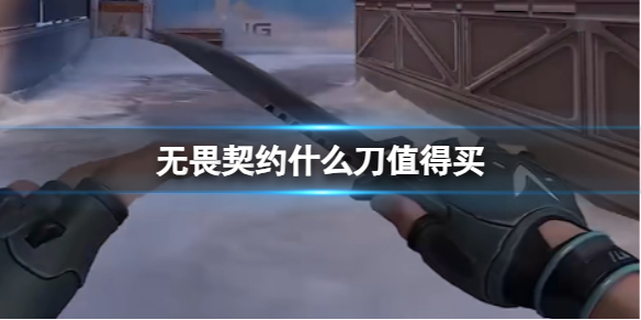《无畏契约》刀皮推荐