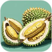 报恩榴莲免费正版