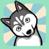 二哈竟能这么养版