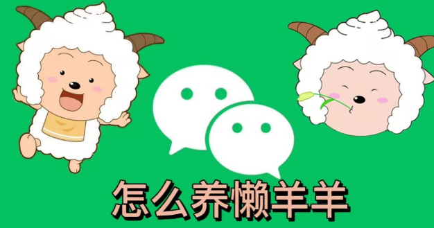 微信状态怎么养宠物