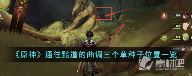《原神》通往黯道的曲调三个草种子位置一览