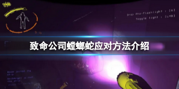 《致命公司》螳螂蛇应对方法介绍