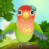 Bird bnb下载安装