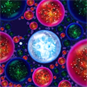 行星吞噬进化最新版