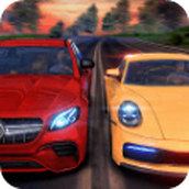 Real Driving Sim安装包