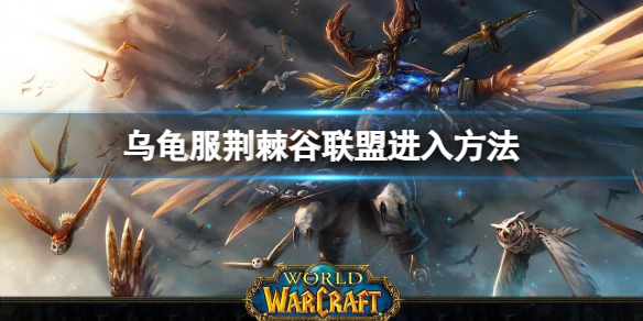 《魔兽世界》乌龟服荆棘谷联盟进入方法