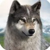 狼族崛起手机版