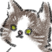 猫猫吃成猪猪安装