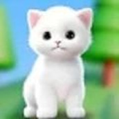 猫的选择虚拟宠物正式版