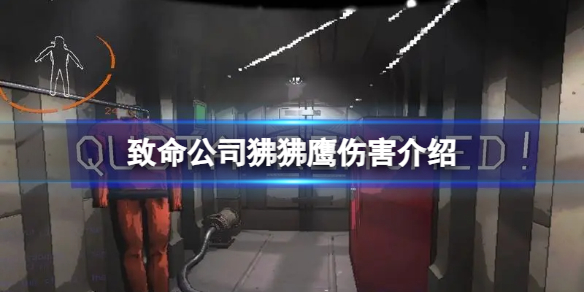 《致命公司》狒狒鹰伤害介绍