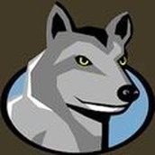 疾风只狼免费正版