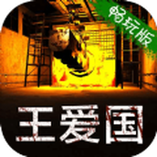 孙美琪疑案王爱国中文版