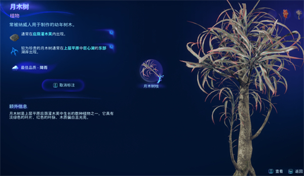 《阿凡达潘多拉边境》月木树位置介绍