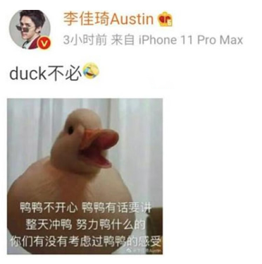 duck不必是什么意思 duck不必含义及出处