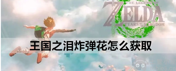 塞尔达传说王国之泪炸弹花怎么获取炸弹花获取流程