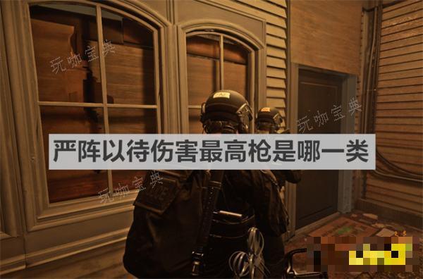 《严阵以待》伤害最高枪是哪一类？伤害最高枪类别介绍