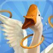 我用圈圈搂大鹅下载最新版