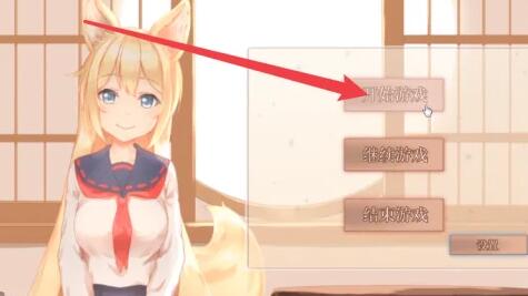 我与空狐的日常详细攻略