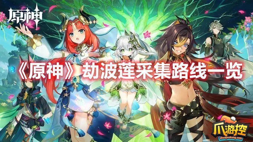 原神劫波莲怎么快速收集