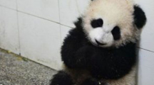 瑟瑟发抖是什么意思瑟瑟发抖梗介绍