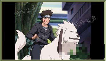 《火影忍者终极风暴羁绊》犬冢牙 与赤丸的牵绊