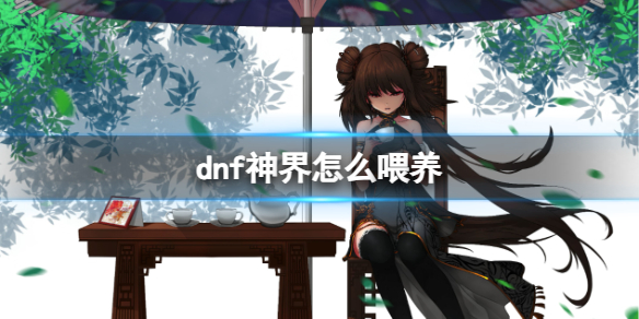 《dnf》2024神界喂养攻略