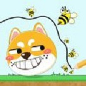 小心狗狗下载最新版