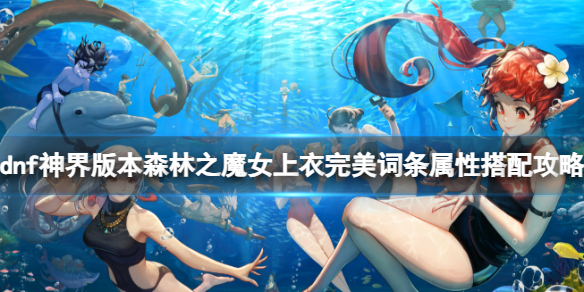 《dnf》森林之魔女上衣完美词条属性搭配攻略