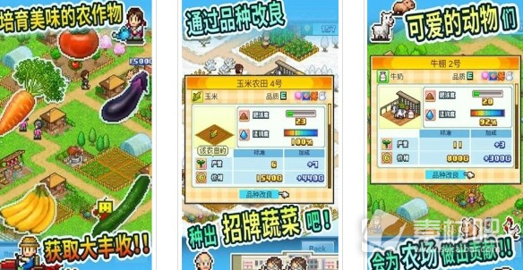农场大富翁玩法解析