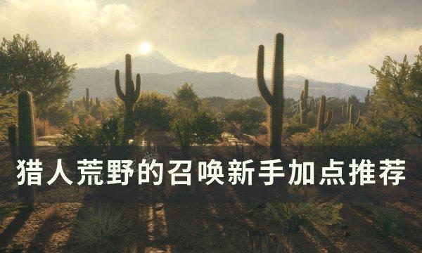 《猎人荒野的召唤》加点怎么加？新手加点推荐