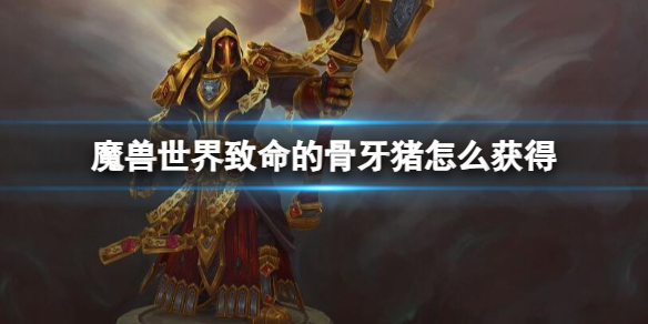 《魔兽世界》致命的骨牙猪获取方法