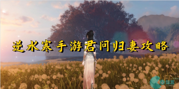 逆水寒手游君问归妻怎么做